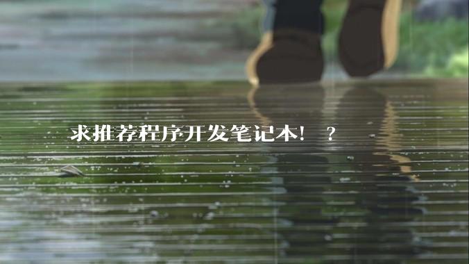 求推荐程序开发笔记本！?