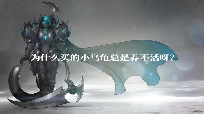 为什么买的小乌龟总是养不活呀？