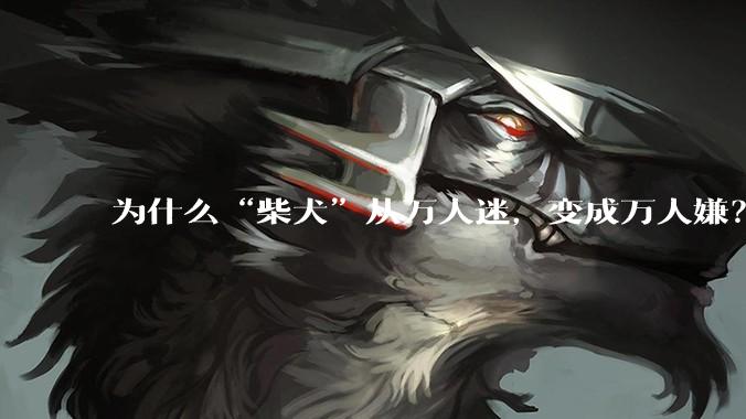 为什么“柴犬”从万人迷，变成万人嫌？
