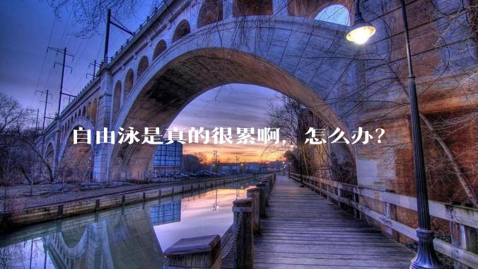 自由泳是真的很累啊，怎么办？