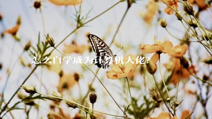 怎么自学成为计算机大佬？