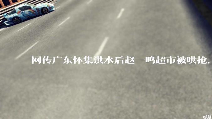 网传广东怀集洪水后赵一鸣超市被哄抢，县***回应相关单位正在核实，若属实哄抢者该承担哪些法律责任？