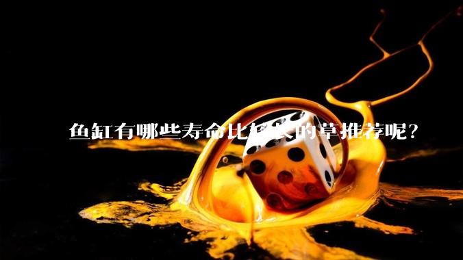 鱼缸有哪些寿命比较长的草推荐呢？