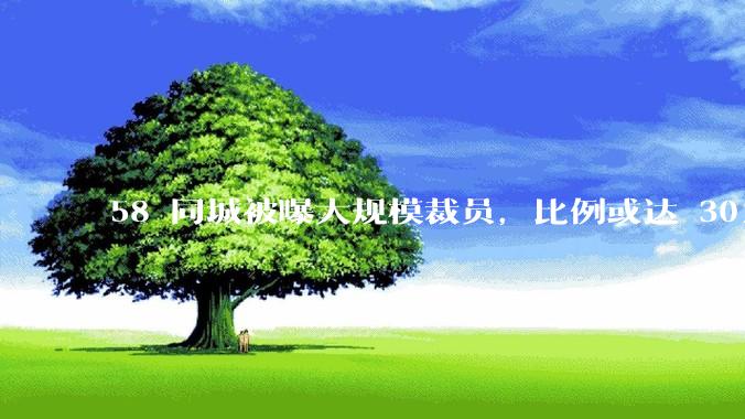 58 同城被曝大规模裁员，比例或达 30%，具体情况如何？58 同城目前面临哪些问题？