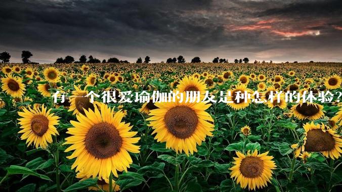 有一个很爱瑜伽的朋友是种怎样的体验？
