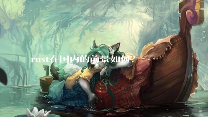 rust在国内的前景如何？