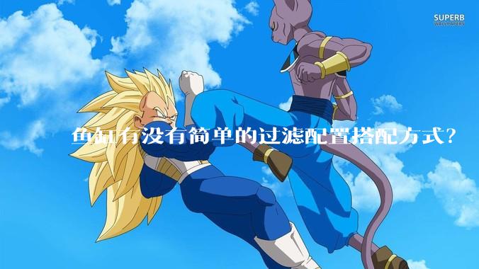 鱼缸有没有简单的过滤配置搭配方式？