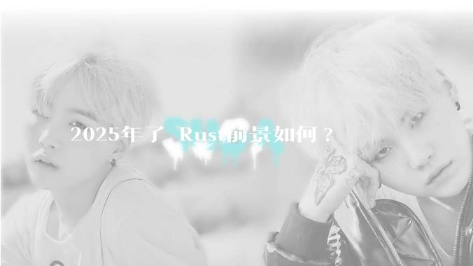 2025年了 Rust前景如何?