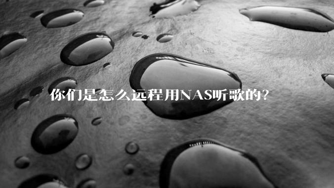你们是怎么远程用NAS听歌的？