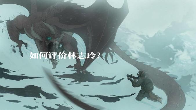 如何评价林志玲？