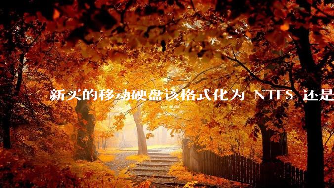 新买的移动硬盘该格式化为 NTFS 还是 exFAT？