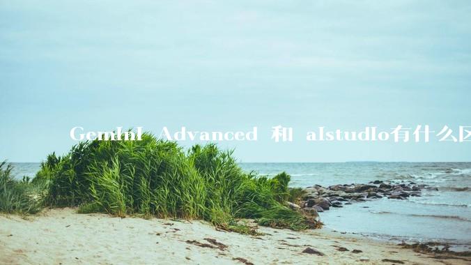 Gemini Advanced 和 aistudio有什么区别？
