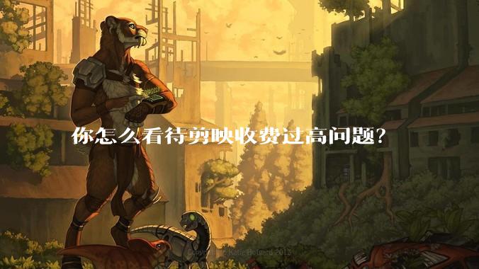 你怎么看待剪映收费过高问题？