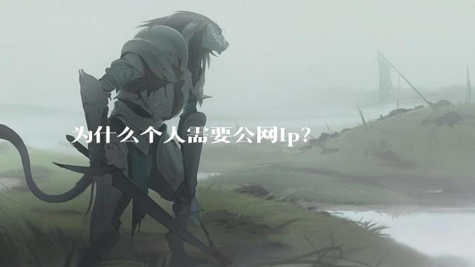 为什么个人需要公网ip？