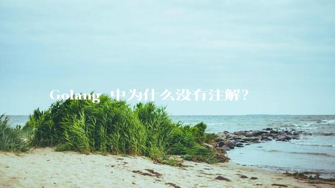 Golang 中为什么没有注解？
